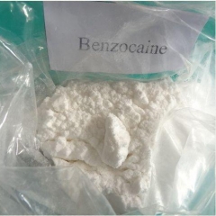 Benzocaine 공급 업체