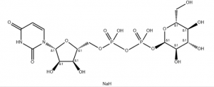 CAS 28053-08-9 Uridine 5'-diphosphoglucose disodium salt suppliers